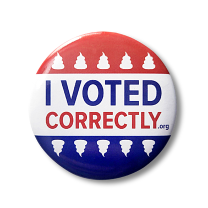 I Voted Correctly - Button/ Pin