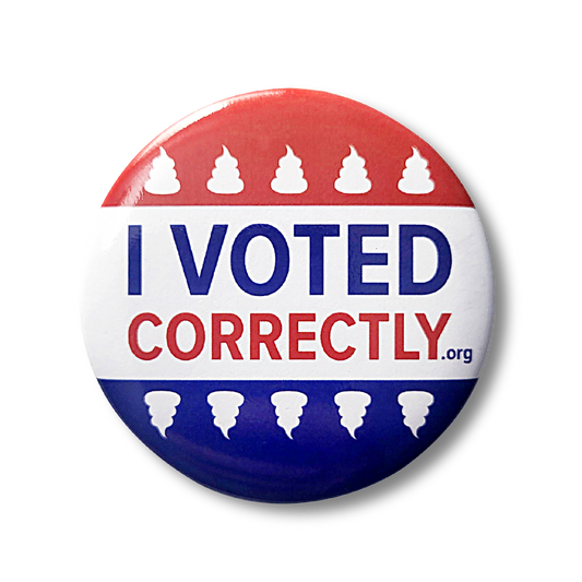 I Voted Correctly - Button/ Pin